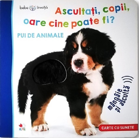Bebe invata. Ascultati, copii, oare cine poate fi? Pui de animale