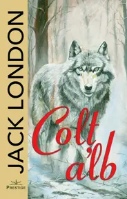 Colt Alb