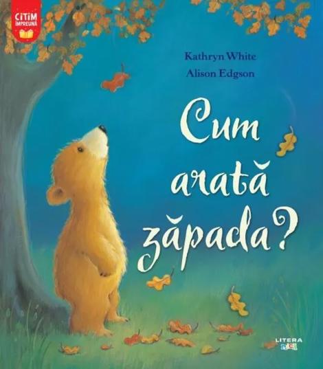 Cum arata zapada?