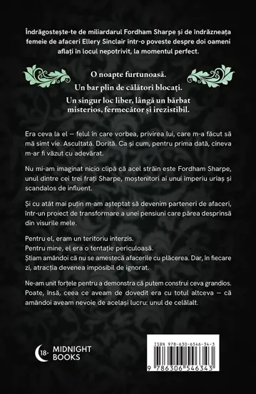 Seria S.I.N. completa