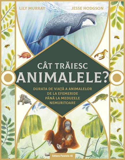 Cat traiesc animalele? Durata de viata a animalelor de la efemeride pana la meduzele nemuritoare