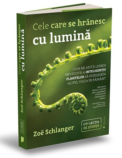 Cele care se hranesc cu lumina