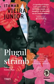 Plugul stramb