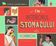 In interiorul stomacului