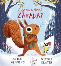 Cine mi-a furat zapada?