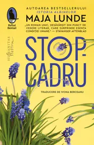 Stop-cadru