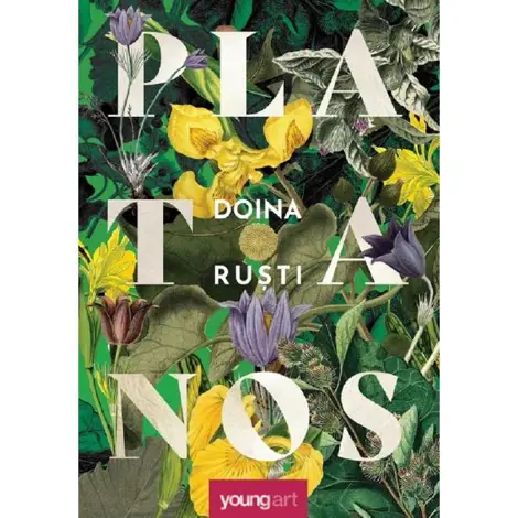Platanos