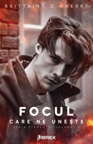 Focul care ne uneste. Seria Elemente Vol.2