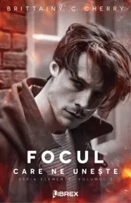 Focul care ne uneste. Seria Elemente Vol.2