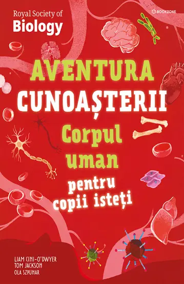 Pachet Educatie interactiva