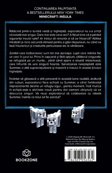 Pachet MINECRAFT