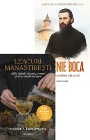 Pachet Pelerinajul Tămăduirii