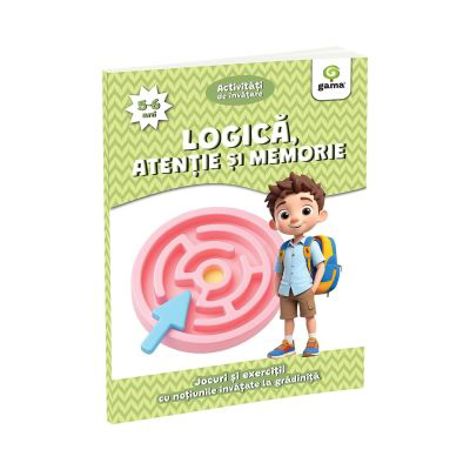 Logica, atentie si memorie 5-6 ani