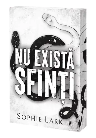 Nu exista sfinti. Seria Sinners Duet Vol.1