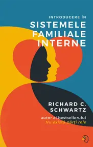 Introducere în Sistemele Familiale Interne