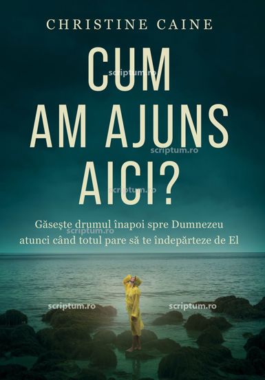 Cum am ajuns aici?