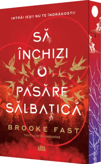 Sa inchizi o pasare salbatica. Seria Endlock Vol.1