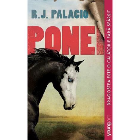 Ponei