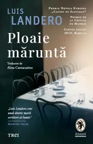 Ploaie măruntă