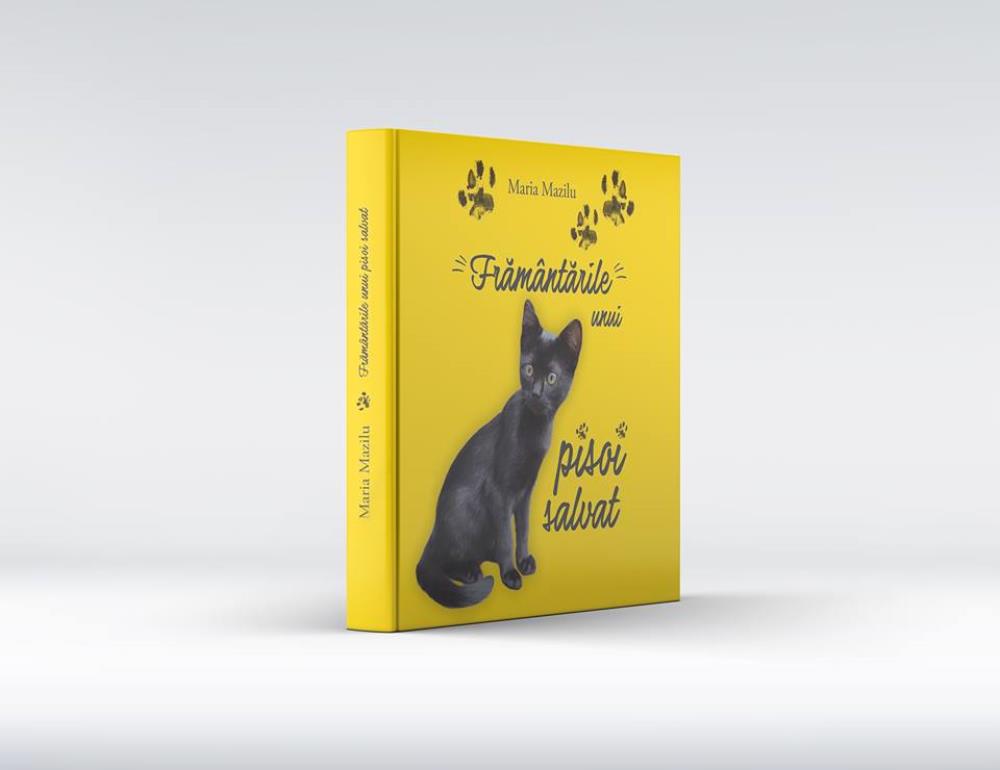 Framantarile unui pisoi salvat