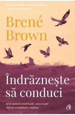 Indrazneste sa conduci 