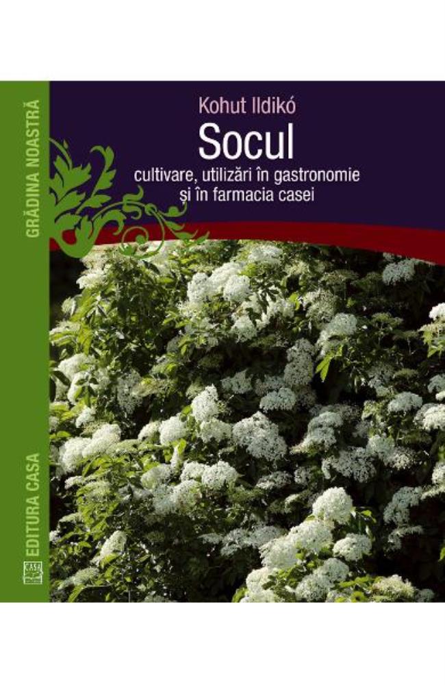 Socul: Cultivare, utilizari in gastronomie si in farmacia casei