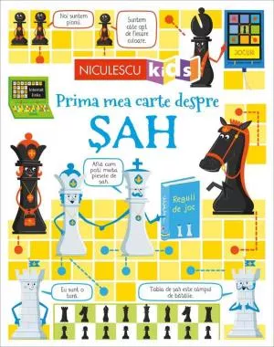 Prima mea carte despre SAH