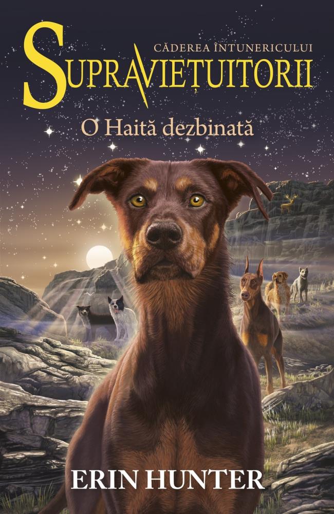 Supravietuitorii Vol.7: O Haita dezbinata