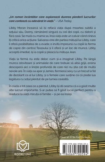 Sotul pierdut