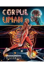 Corpul uman 
