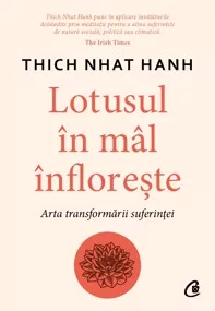Lotusul in mal infloreste