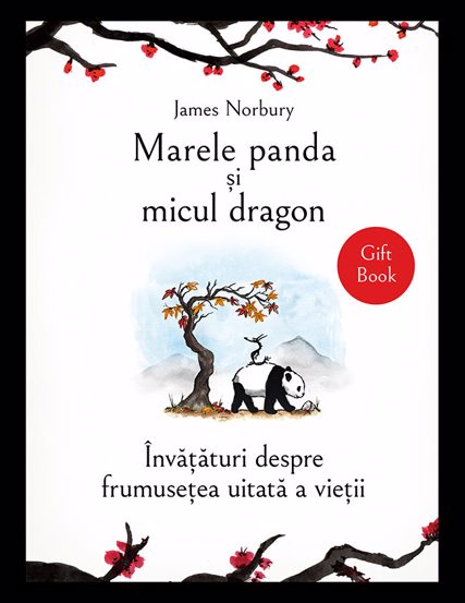 Antidot pentru depresie + Marele panda si micul dragon