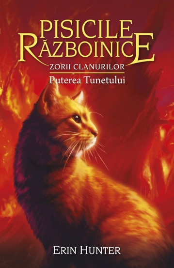 Puterea Tunetului. Seria Pisicile razboinice Vol.26