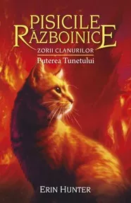 Puterea Tunetului. Seria Pisicile razboinice Vol.26