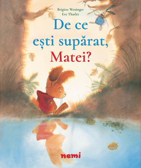 De ce esti suparat, Matei?