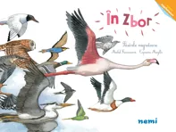 In zbor - Pasarile migratoare