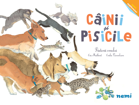 Cainii si pisicile - Prietenii omului