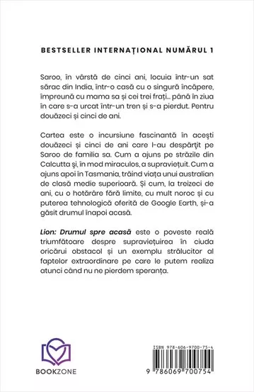 Lion: Drumul spre acasa
