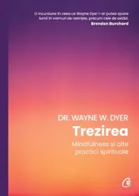 Trezirea. Mindfulness si alte practici spirtuale