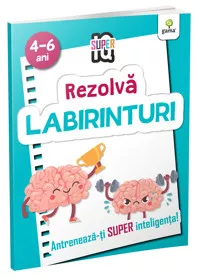 Labirinturi