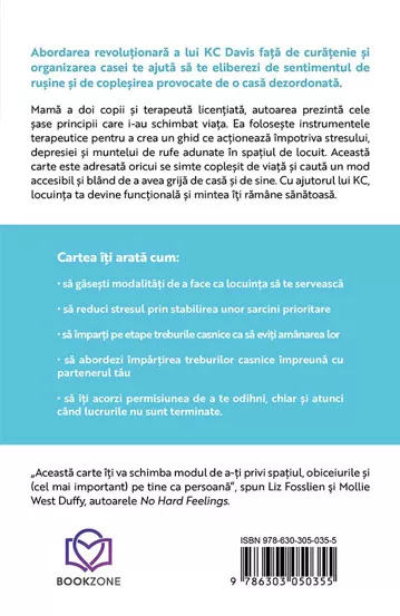 Cum sa ai casa in ordine cand viata e in dezordine + Dincolo de parenting si teorii