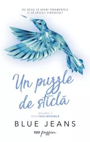 Un puzzle de sticla. Seria Fata invizibila Vol.2