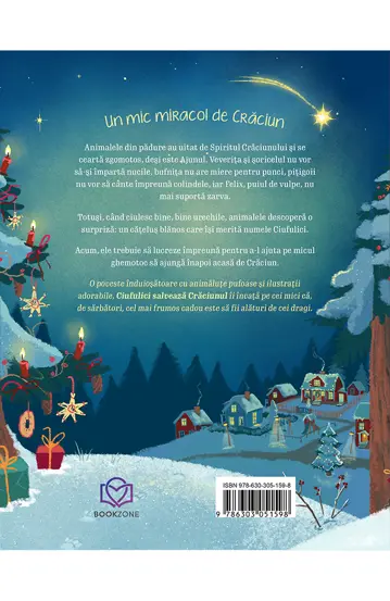 Pachet Bucuria Craciunului