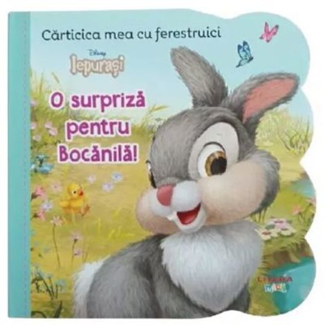 Disney Iepurasi. Carticica mea cu ferestruici. O surpriza pentru Bocanila