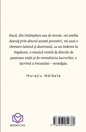 Pachet Scriitorul Horatiu Malaele