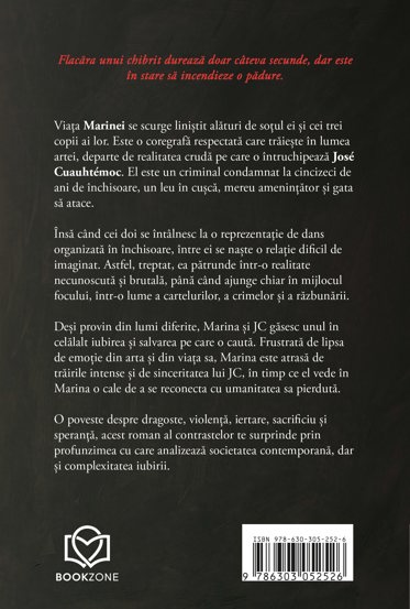 Pachet Dincolo de aparente