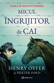 Micul ingrijitor de cai 