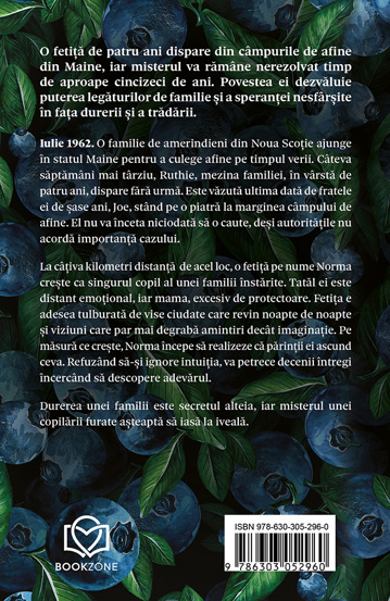 Pachet Trei feluri de a merge mai departe
