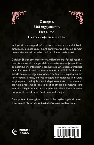 Seria S.I.N. completa