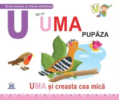 U de la Uma, pupaza - Necartonata